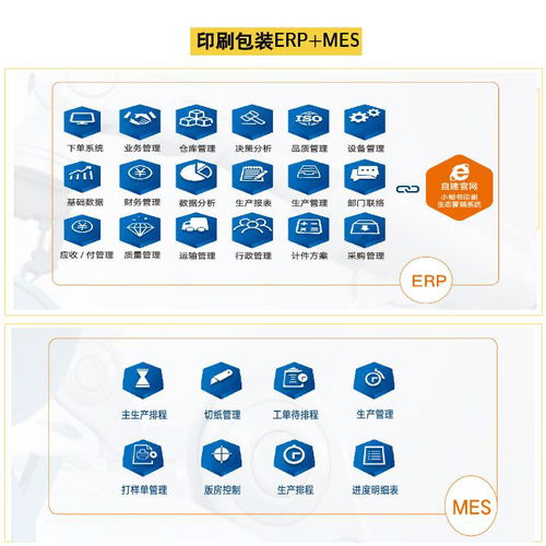 包裝智能工廠 上海迅越與阜陽智能工廠的軟件開發(fā)創(chuàng)新實(shí)踐